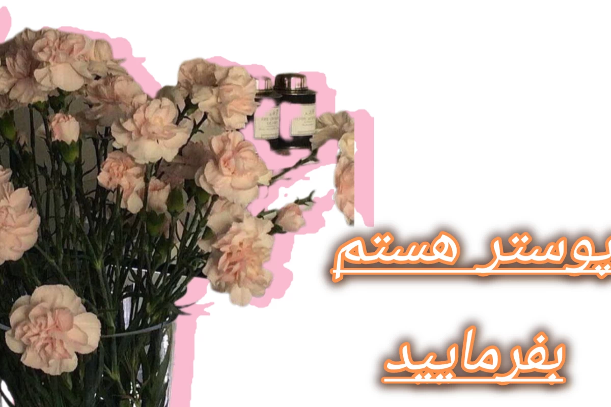 عکس چگونه امید به زندگی را در خود افزایش دهیم؟