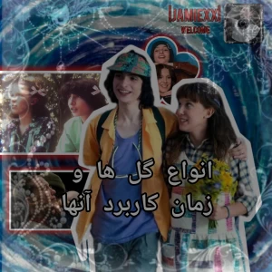 عکس انواع گل و زمان استفاده آنها🌷