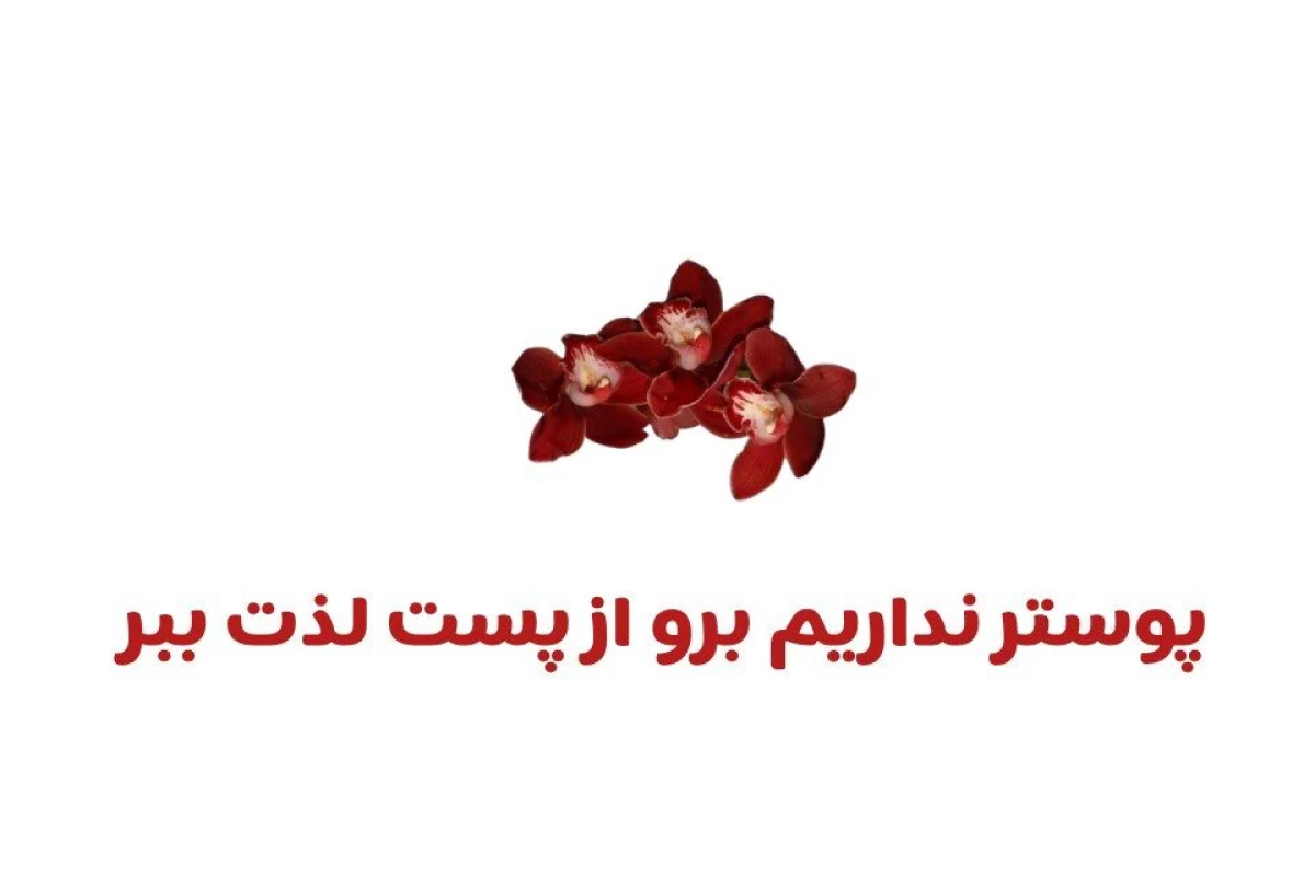 عکس چی گفتی داداشم!؟
