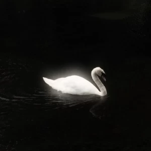 عکس -دنياي ما-