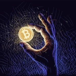عکس 彡تاریـخچه ی بیـت کویـن彡