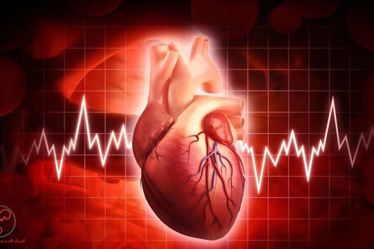 عکس قلب؛ عضله‌ی ویژه ای در بدن