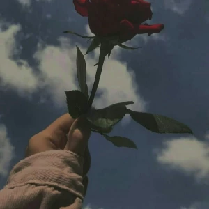عکس اینو هیچ وقت یادت نره