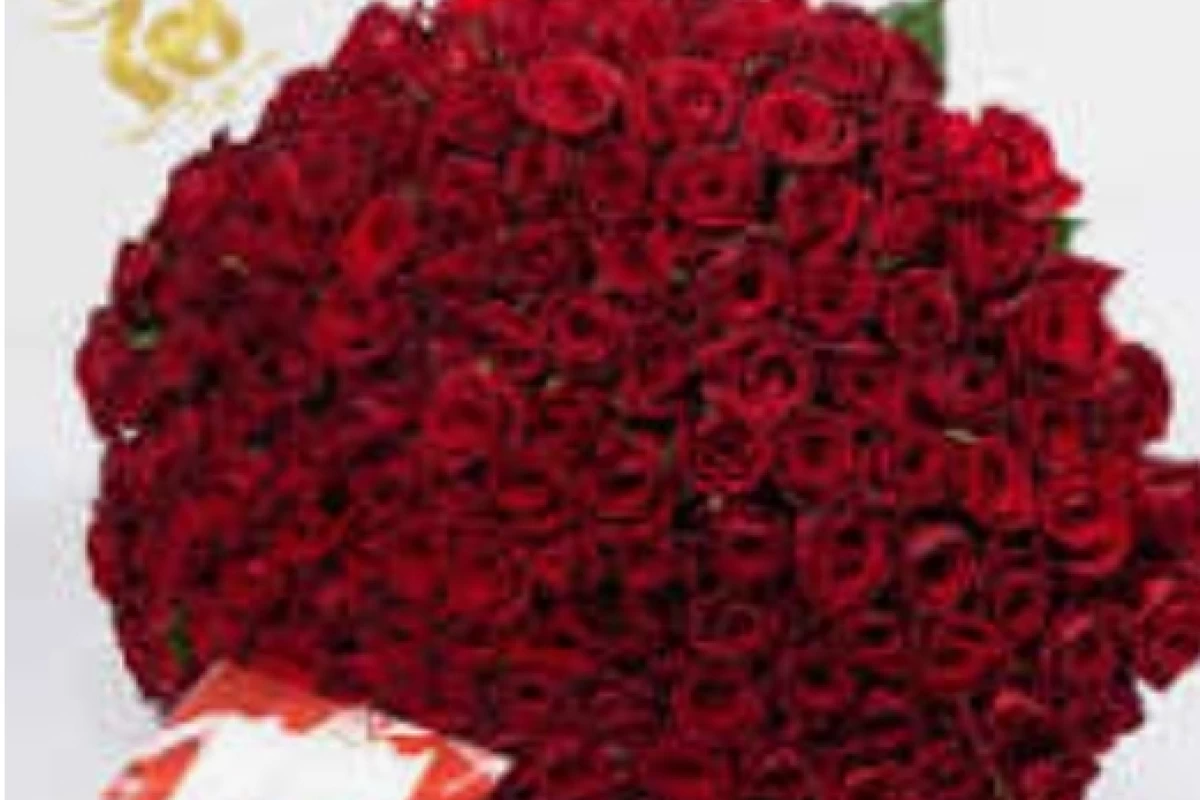 عکس معرفی انواع گل ها