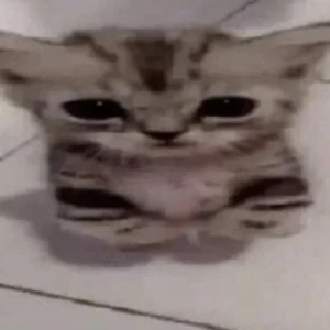 عکس این غذا اسم نداره