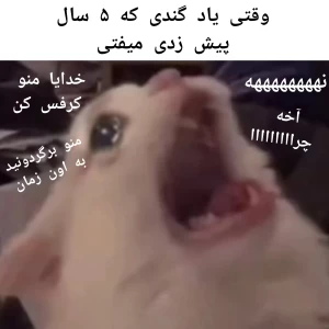 عکس میم آباد ۶