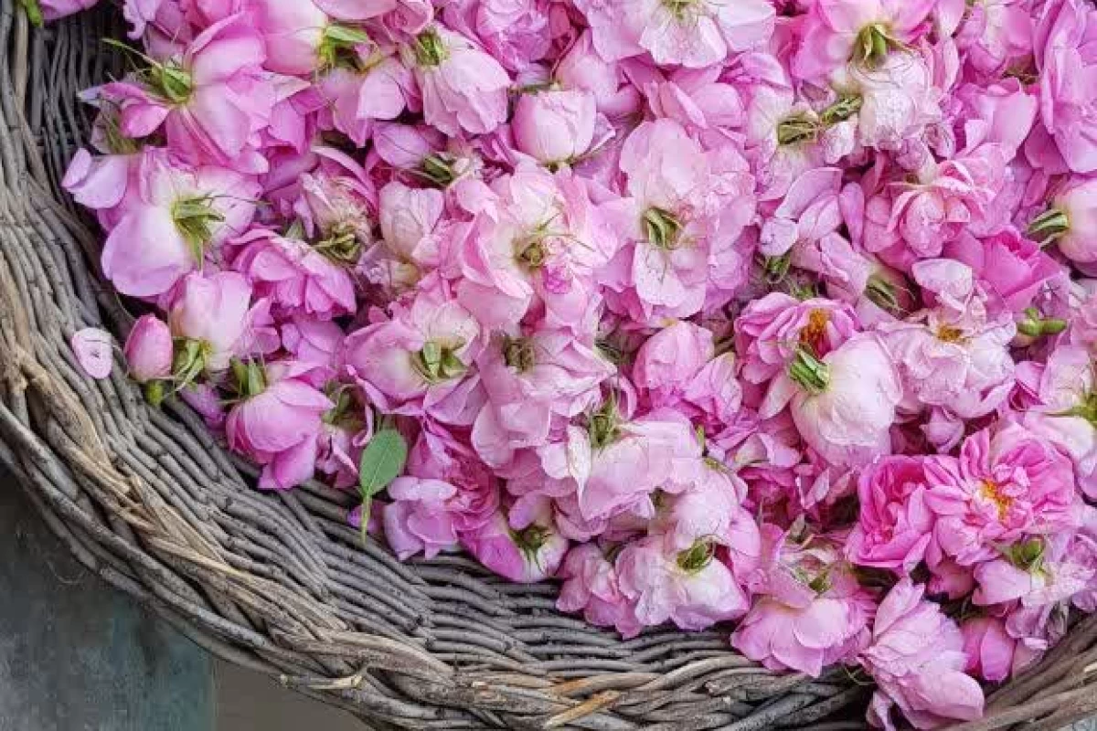 عکس وسایل ضروری برای مراقبت های ضروری