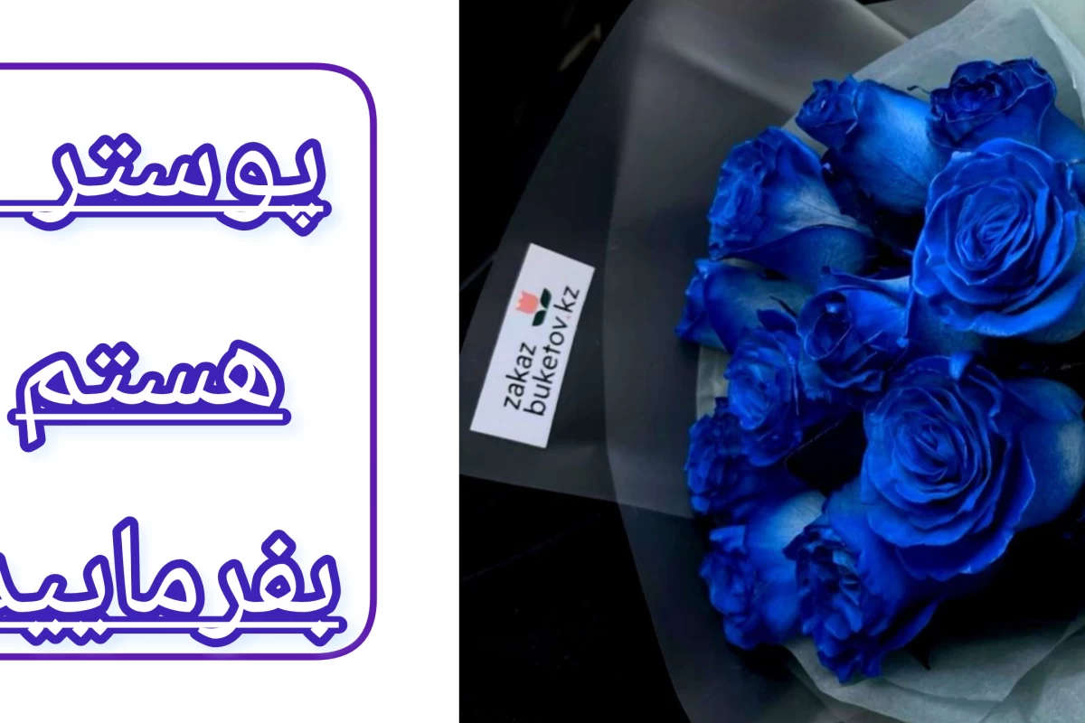 درسته که xام ولی دلیل نمیشه که Yباشم mbti ver, p2