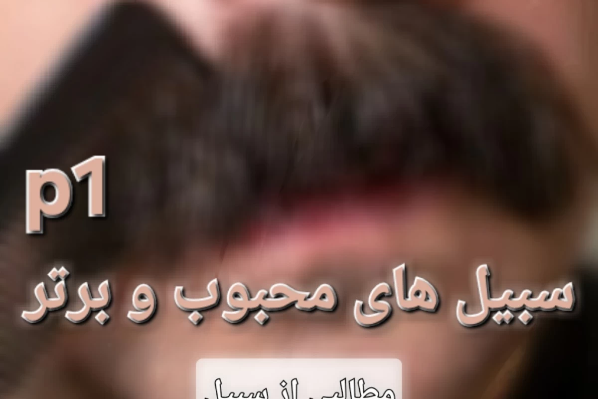 عکس دوازده مدل سبیل برتر:(مطالبی راجب سبیل)