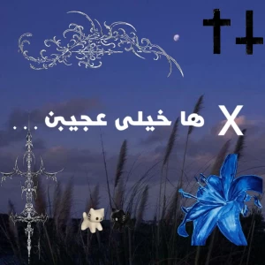 عکس X ها خیلی عجیبن . . .