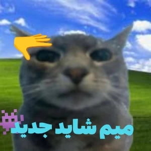 عکس میم میم میم!