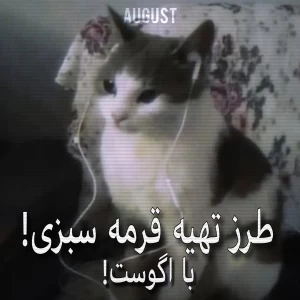 عکس باهم قرمه سبزی بپزیم!