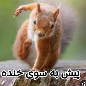 عکس میم ـ توییت ۳