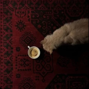 "به درک"