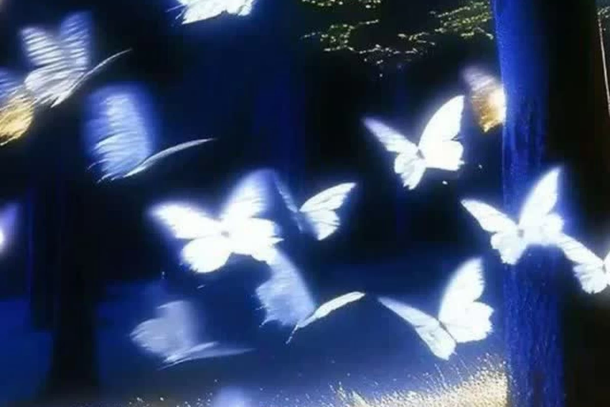 عکس 🎀:ابراز علاقه؟