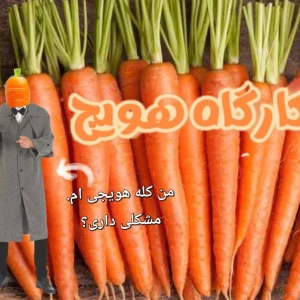 زندگی نامه: کارگاه هویج برجسته