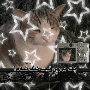 کاور
