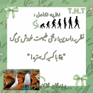 عکس}