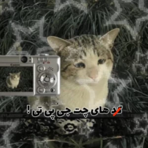 کاور