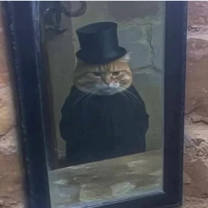 عکس}