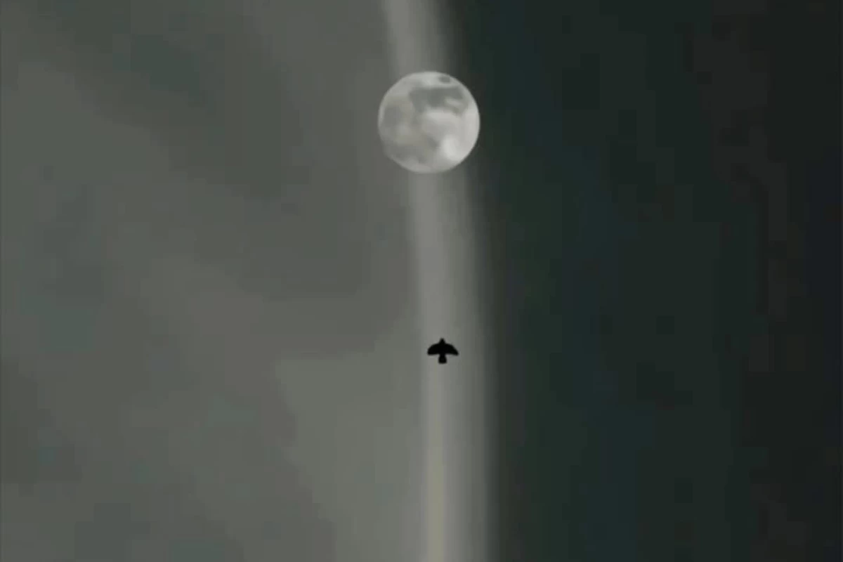عکس لوسیفر و قدیس مقدس p1