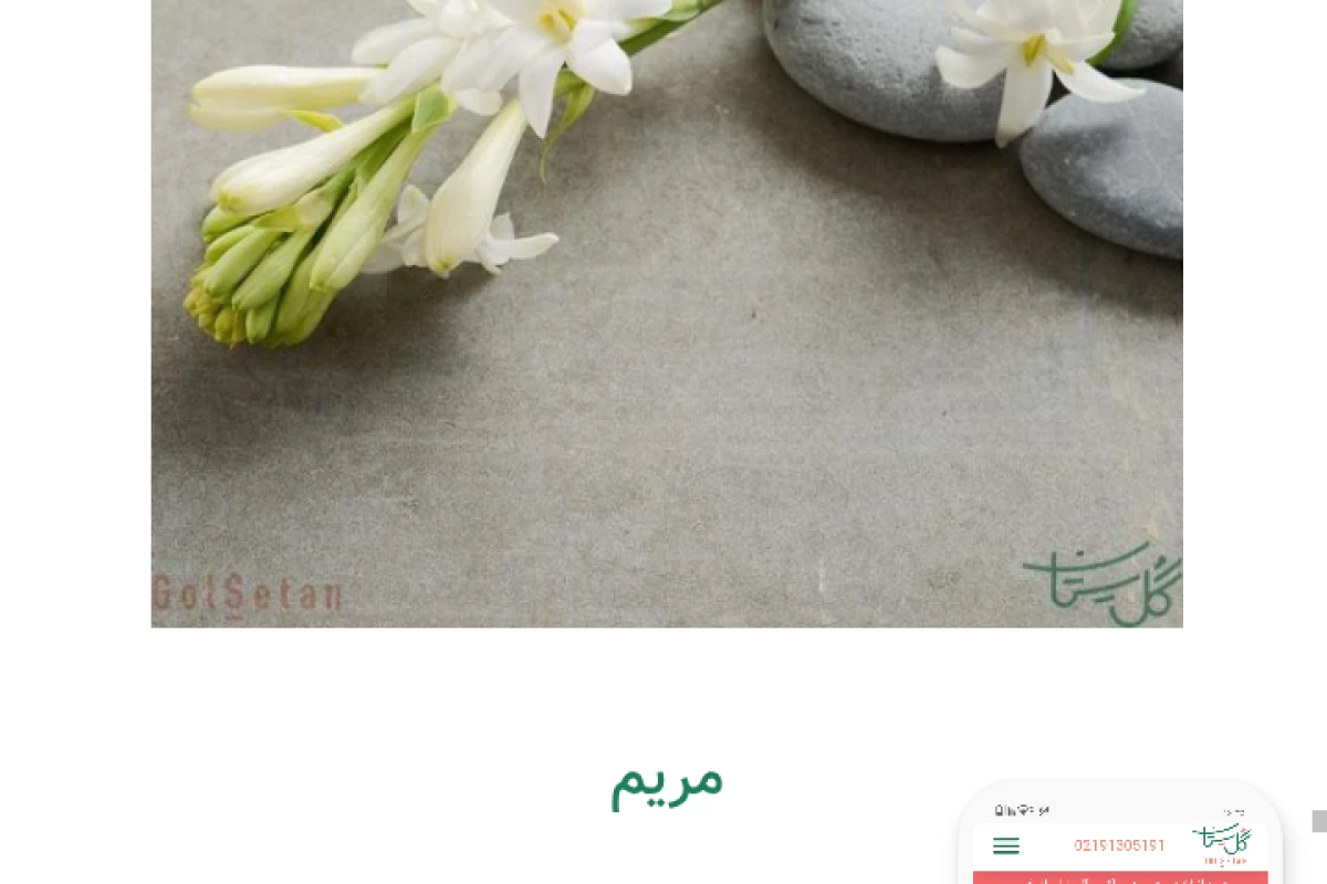 عکس نام گل های محبوب p8