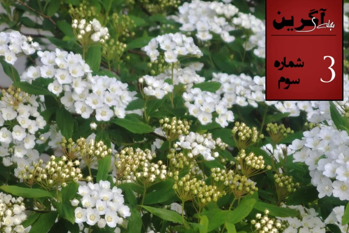 عکس تیرگان فرخنده باد!