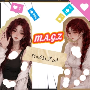 عکس این گل رز کیه ؟