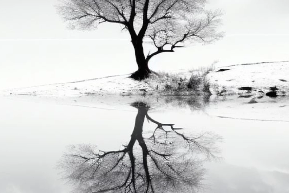 مرگ صدایش میکردند (پارت ۲)