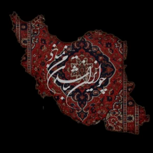 عکس شناختن یک عدد چیتا