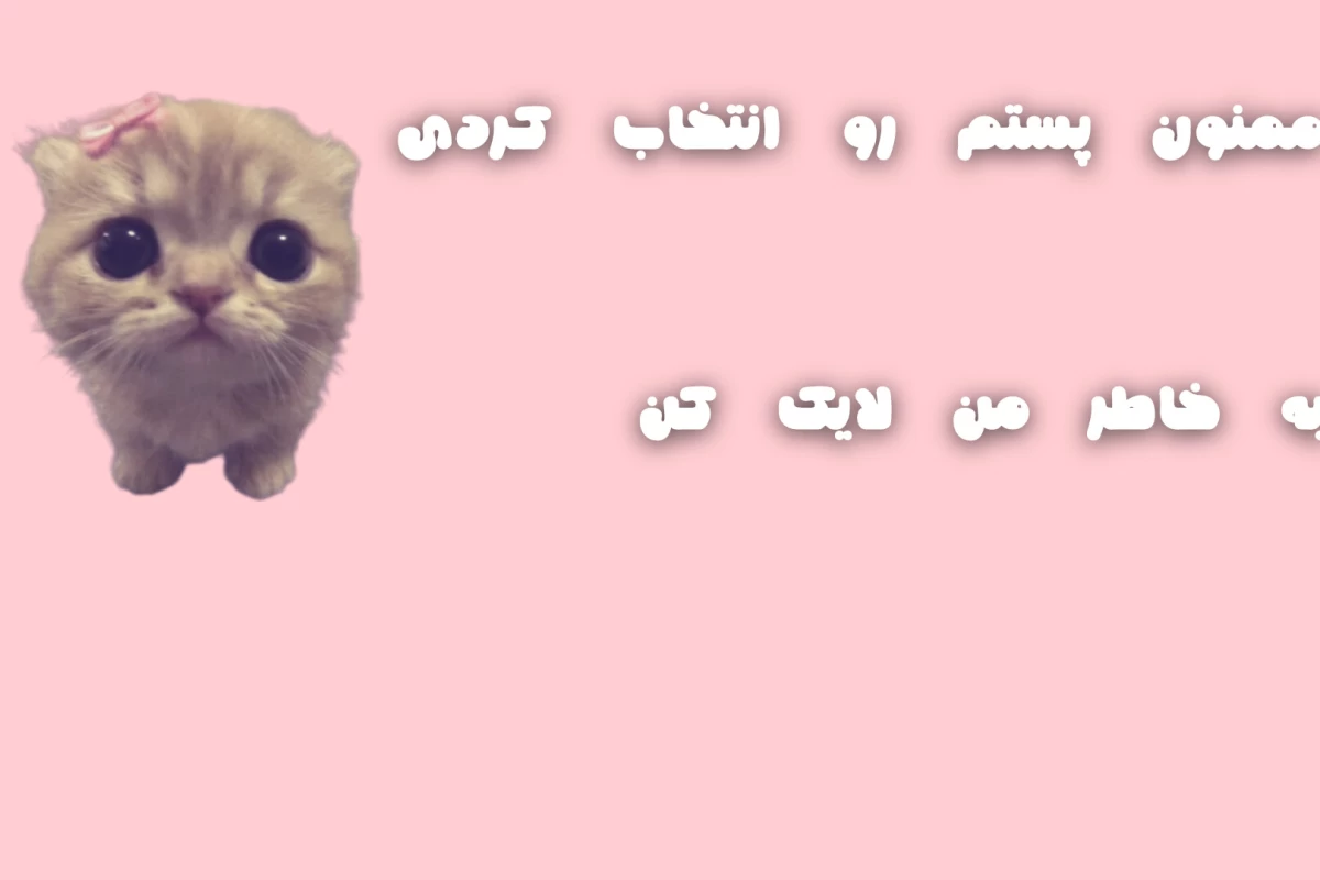 🧸:همیشه که مشکل از من نیست