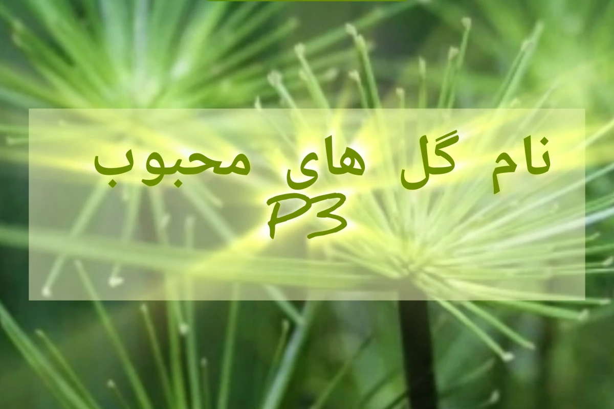 نام گل های محبوب p3