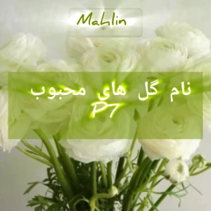 عکس نام گل های محبوب p7
