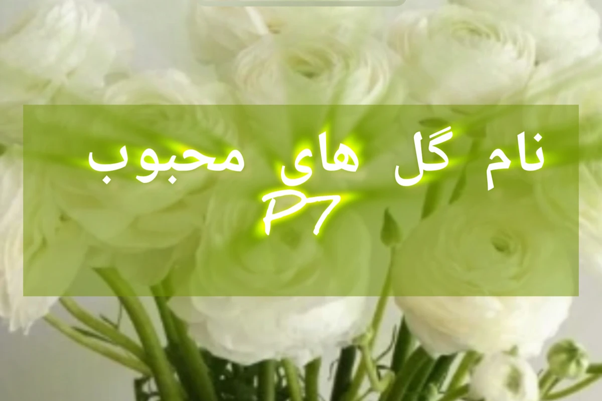 نام گل های محبوب p7