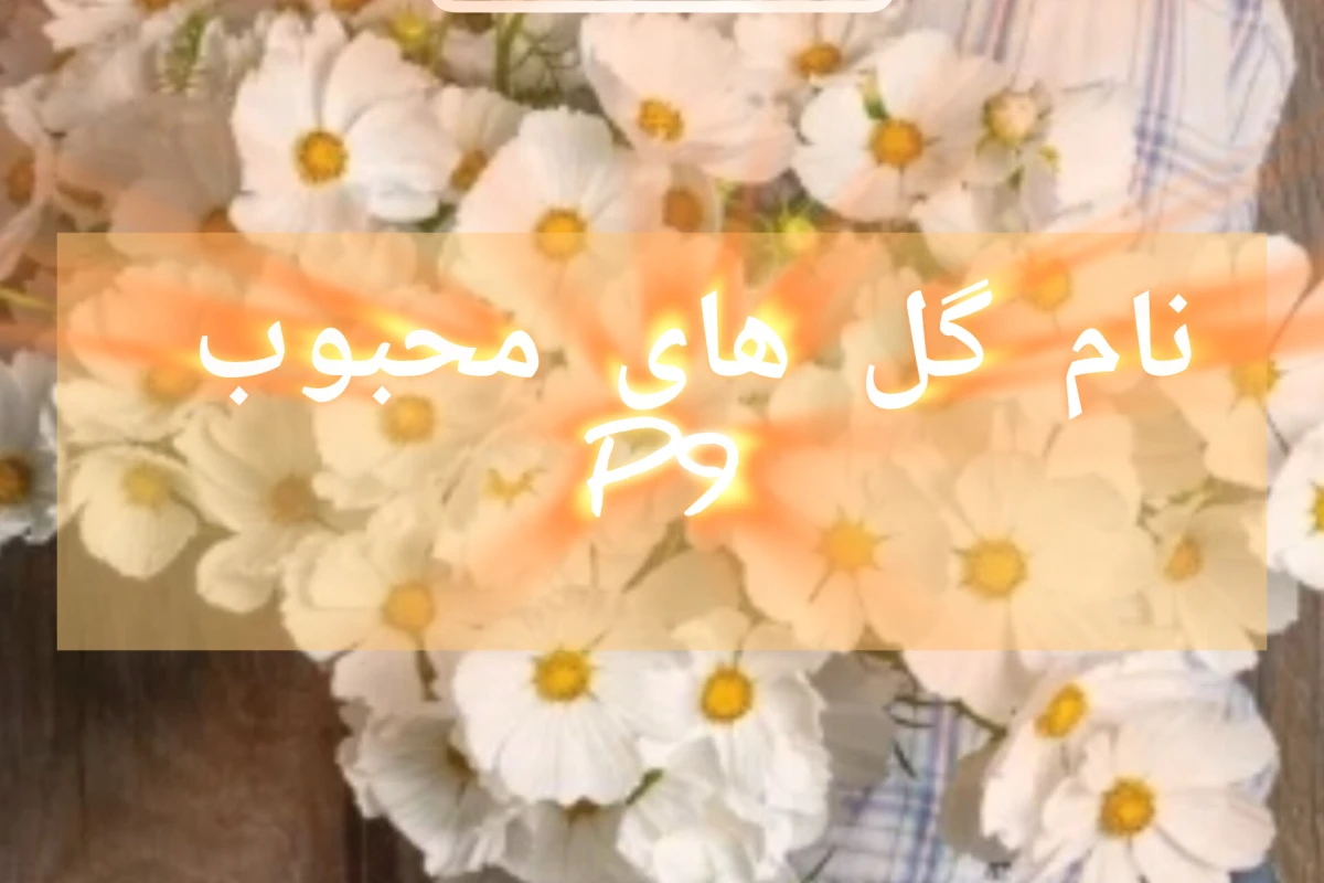 نام گل های محبوب p9