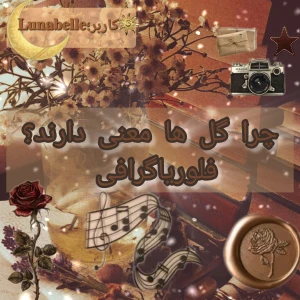 عکس چرا گل ها معنی دارند؟(فلوریا گرافی)