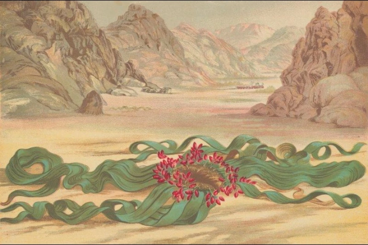 مکان ها اگه کارکتر انیمه میشدن