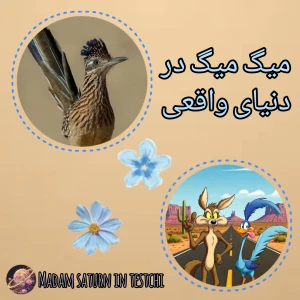 عکس}