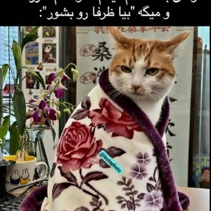 تست 「 توییت طنز ۴✨🤣」
