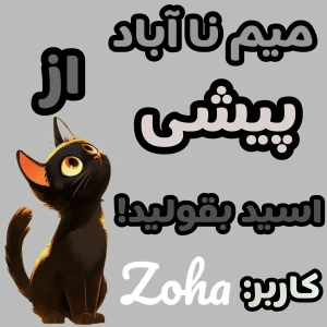 عکس میم از پیشی