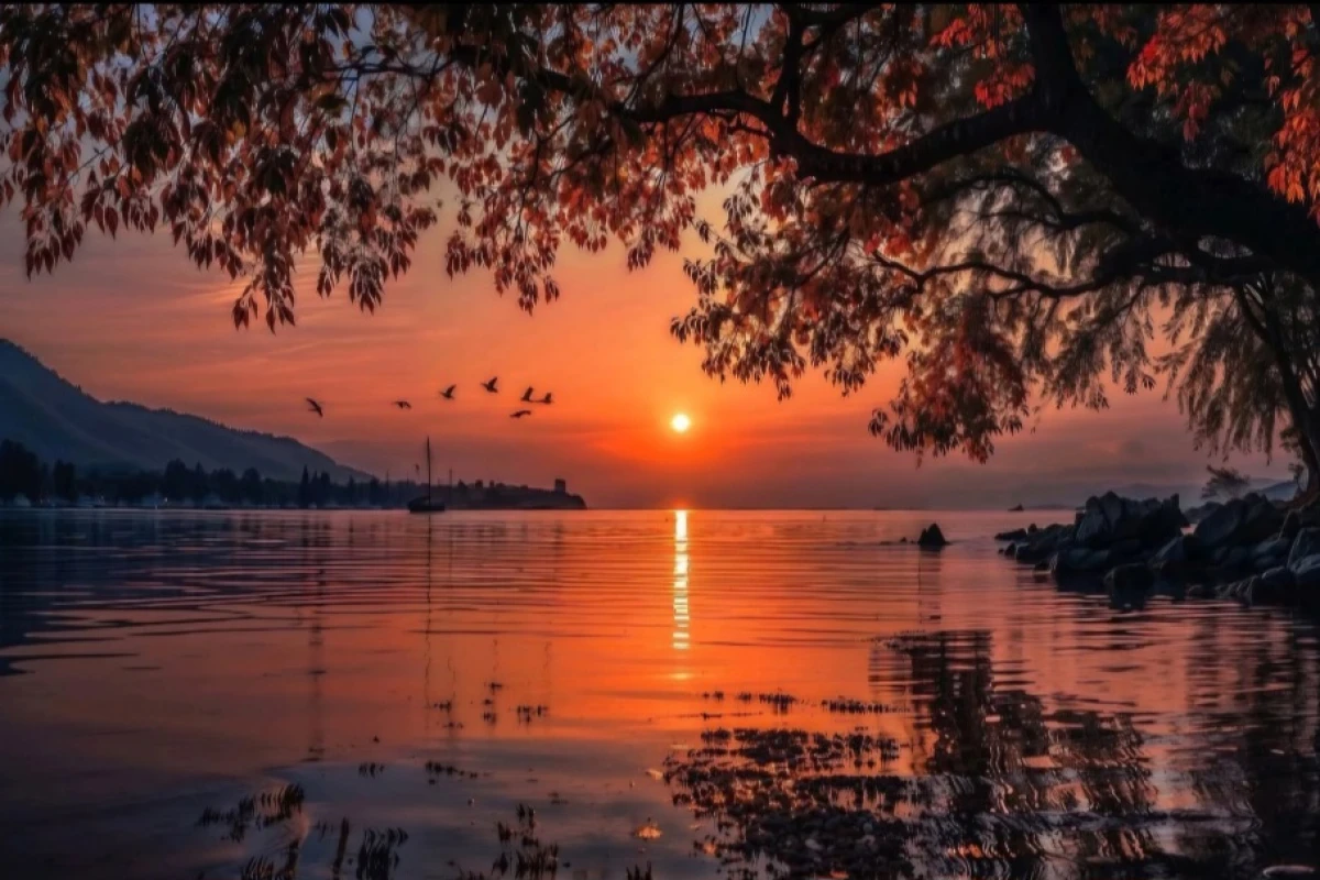 آن خوی دیگر p¹
