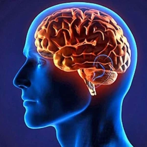عکس توانایی‌های باورنکردنی بدن انسان 🧠