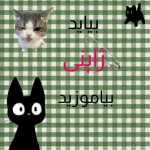تست بیاید ژاپنی بیاموزید