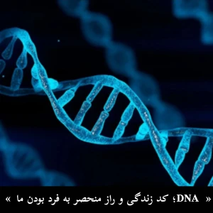 عکس DNA ؛ کد زندگی و راز منحصر به فرد بودن ما