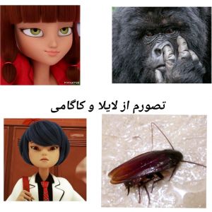 عکس