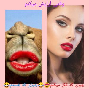 عکس