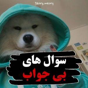 سوال های بی جواب😐🦾 - تستچی