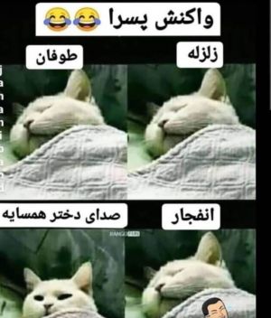 عکس