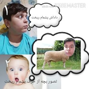 عکس