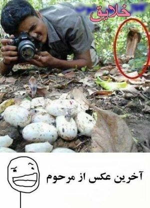 عکس